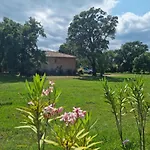 Villa Maison Pinarellu à Pieds Zonza