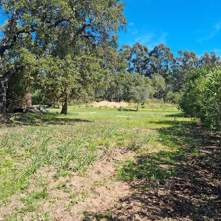 Villa Maison Pinarellu A Pieds Zonza