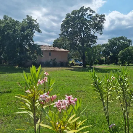 Villa Maison Pinarellu à Pieds Zonza