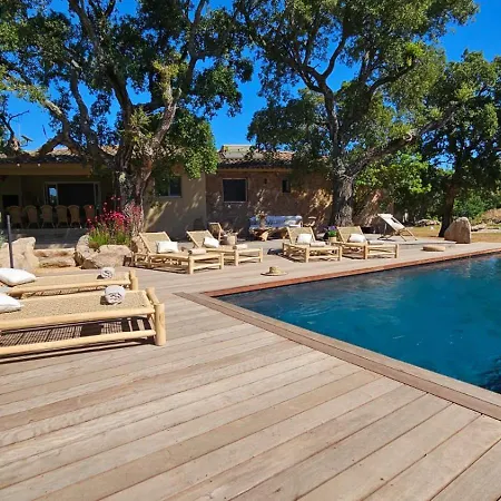 Maison Pinarellu à Pieds Villa *