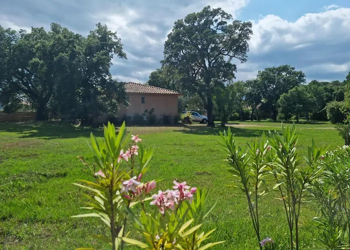 Villa Maison Pinarellu à Pieds Zonza