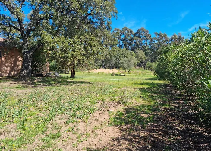 Villa Maison Pinarellu à Pieds Zonza